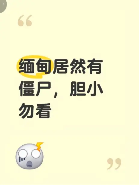《缅甸僵尸出土事件》高清无删减完整版在线播放 - 全程录像揭秘缅北僵尸真相 - 缅甸僵尸出土事件视频免费观看