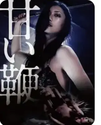 《甜蜜皮鞭》1080P超清画质在线播放-日本经典剧情片甜蜜皮鞭全集免费观看-中文字幕未删减版高清资源