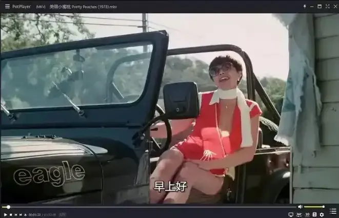 《美丽小蜜桃》高清中字完整版在线看-1978年美国喜剧电影-美丽小蜜桃未删减资源免费观看