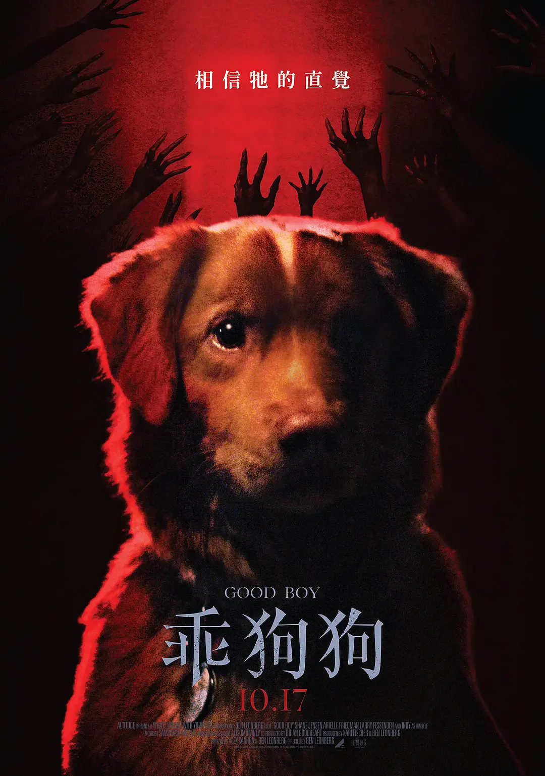 2025美国恐怖片《好狗狗》高清免费在线观看 - 好狗狗完整版HD1080P无广告播放 - 最新恐怖电影资源分享