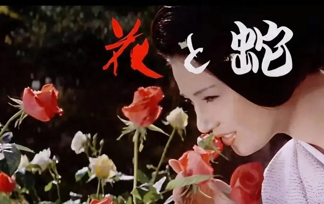 《花与蛇3：白衣绳奴》1080P HD高清完整版 - 日本剧情片在线观看 - 无广告未删减免费资源