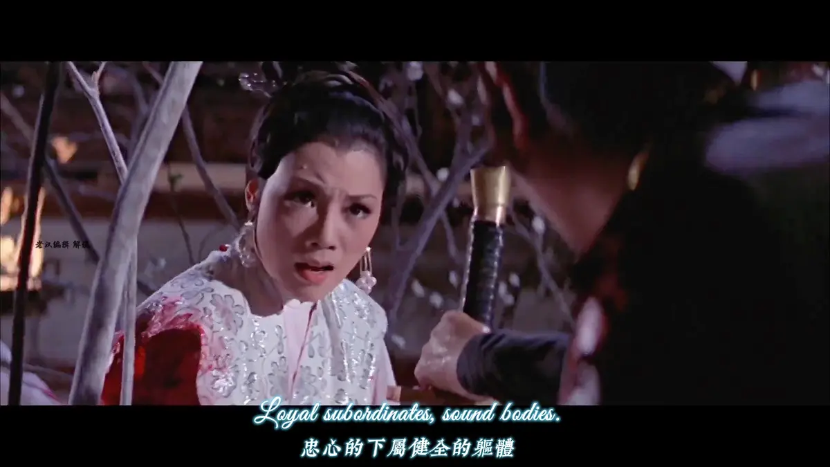 《爱奴》完整版高清免费观看-香港经典剧情片《爱奴》未删减资源在线播放-爱情电影全片HD画质无删减