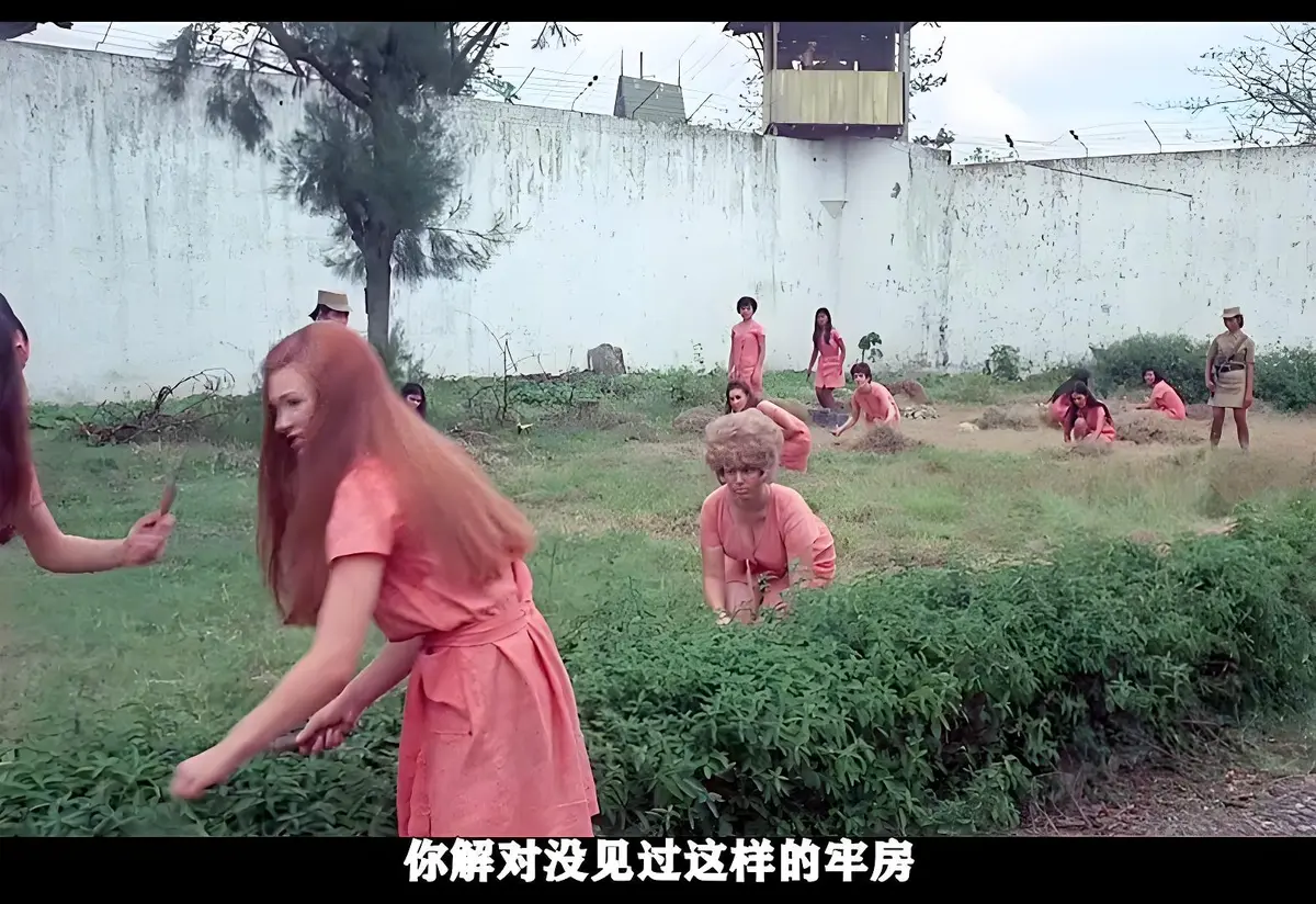 资源图片