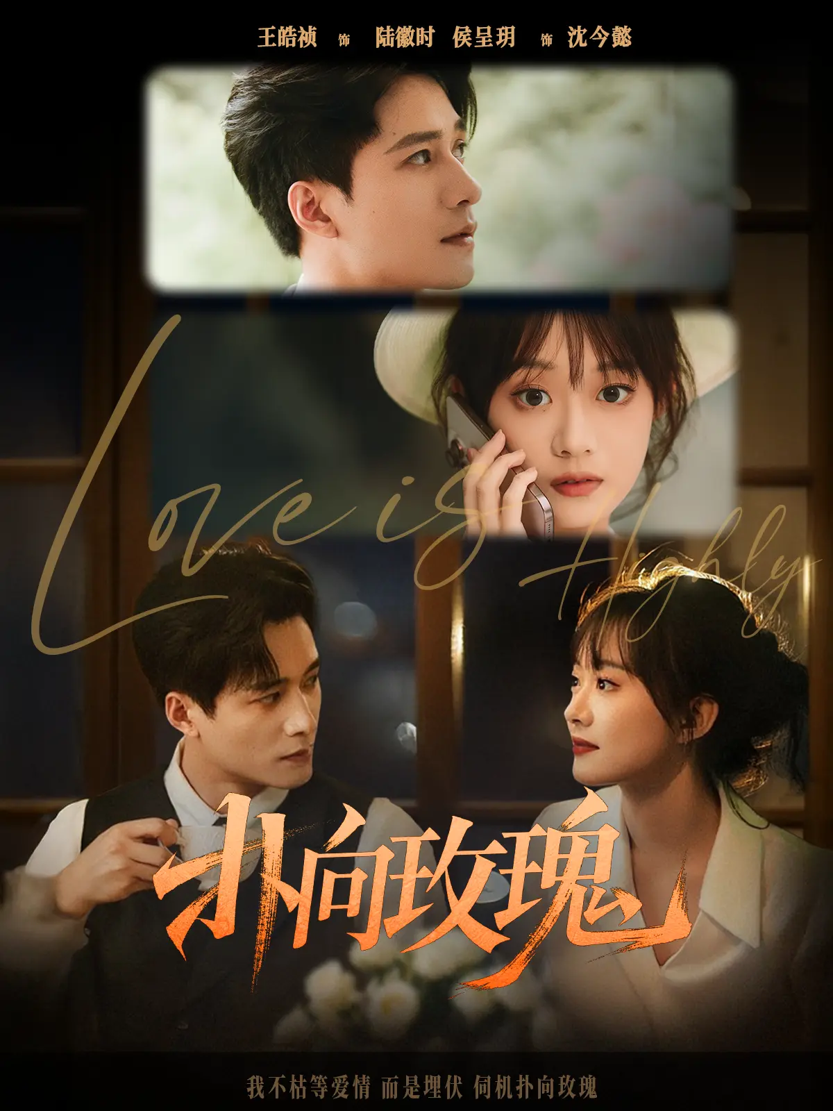 《扑向玫瑰》全77集热门短剧免费观看-王皓祯侯呈玥主演未删减版-百度网盘资源分享