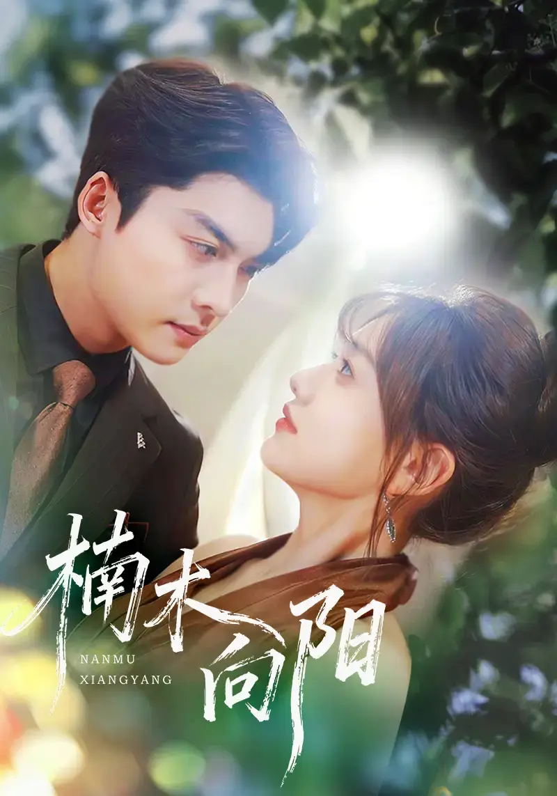 热门短剧《楠木向阳》全70集 - 1080P高清无删减在线看 - 爱与成长剧情资源分享