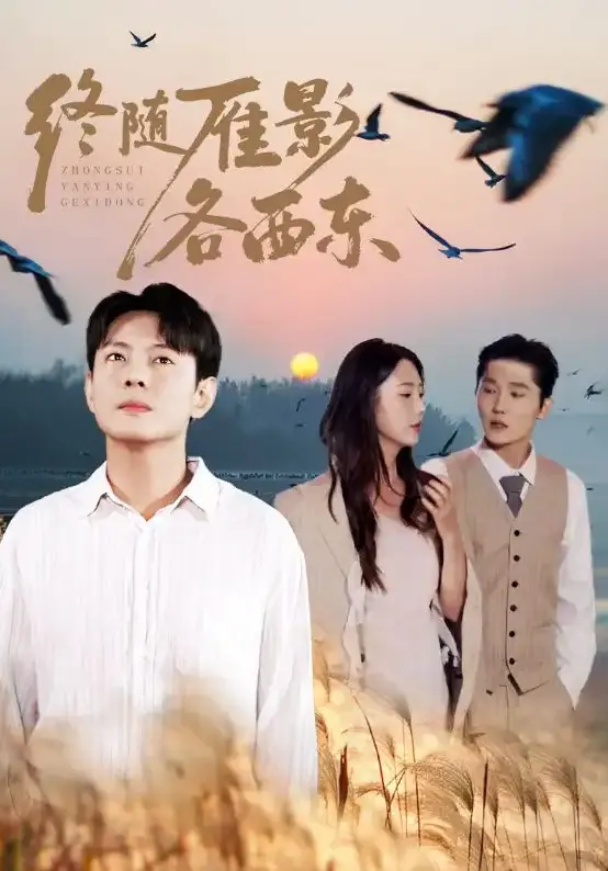 《终随雁影各西东》全86集 - 1080P超清中字 - 金鑫欣主演短剧免费看 - 支持多网盘资源下载