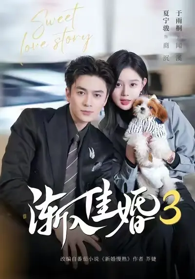 《渐入佳婚3》全集在线免费观看高清版-渐入佳婚3无删减全集完整播放-1080P高清画质无广告