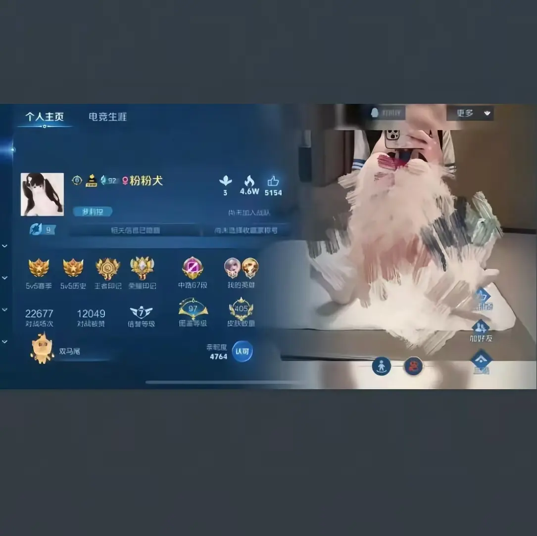 《粉粉犬王者荣耀主页》全集高清播放 - 00后王者皮肤国标揭秘 - 无删减流畅观看